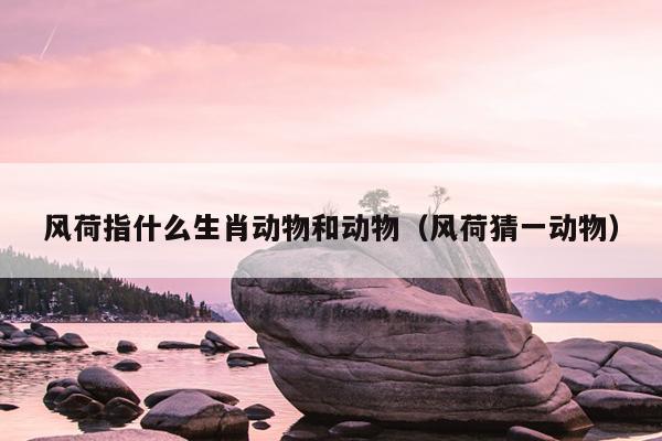 风荷指什么生肖动物和动物（风荷猜一动物）