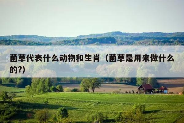 菌草代表什么动物和生肖（菌草是用来做什么的?）
