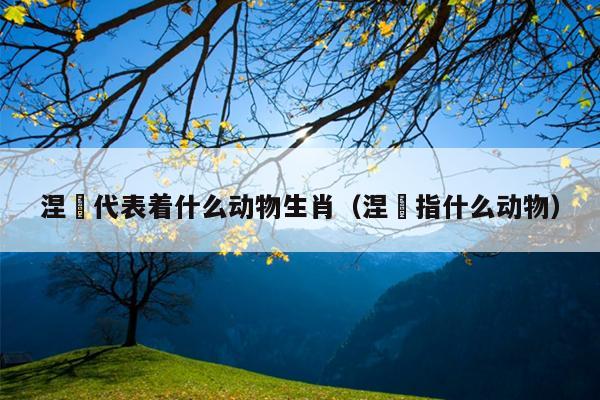 涅槃代表着什么动物生肖（涅槃指什么动物）