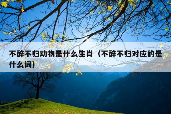 不醉不归动物是什么生肖（不醉不归对应的是什么词）