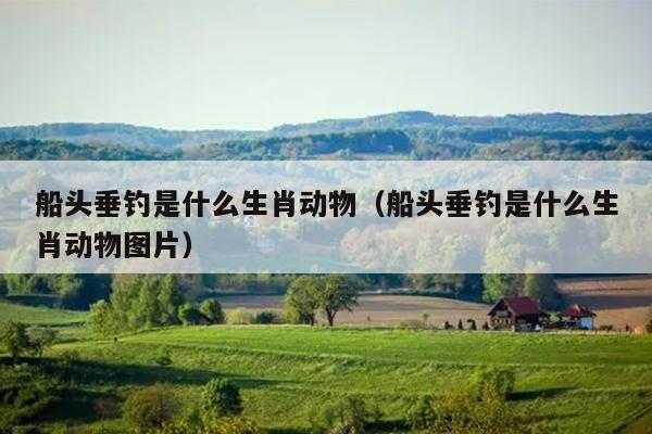 船头垂钓是什么生肖动物（船头垂钓是什么生肖动物图片）