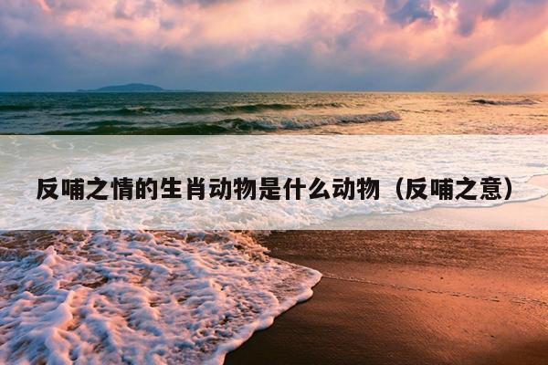 反哺之情的生肖动物是什么动物（反哺之意）
