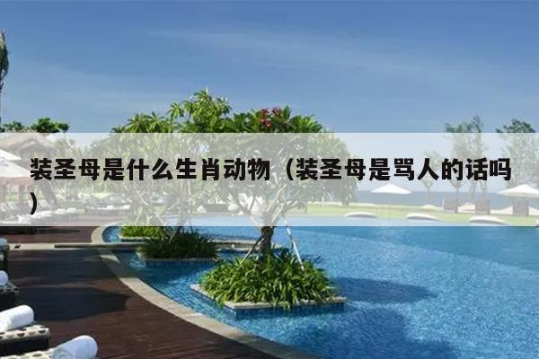 装圣母是什么生肖动物（装圣母是骂人的话吗）