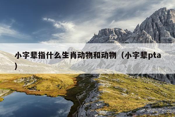 小字辈指什么生肖动物和动物（小字辈pta）