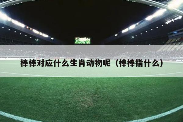 棒棒对应什么生肖动物呢（棒棒指什么）