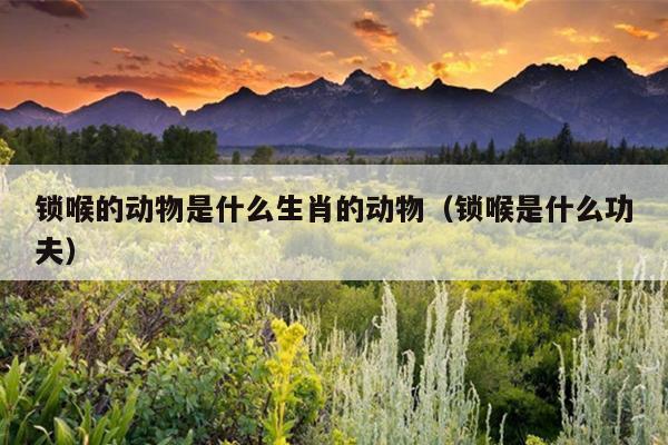 锁喉的动物是什么生肖的动物（锁喉是什么功夫）
