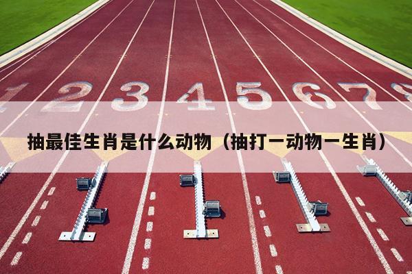 抽最佳生肖是什么动物（抽打一动物一生肖）