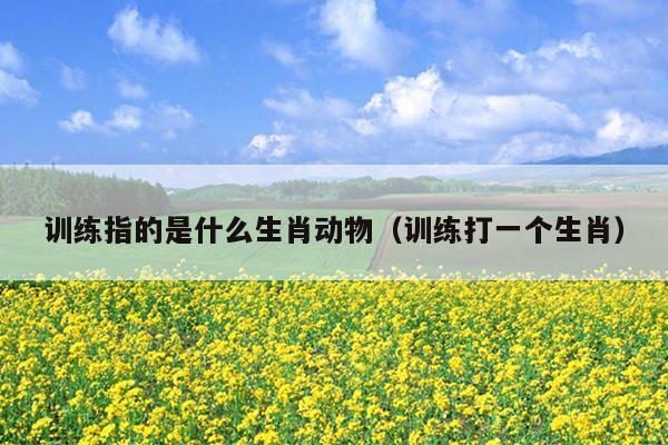 训练指的是什么生肖动物（训练打一个生肖）