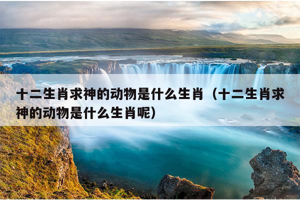 十二生肖求神的动物是什么生肖（十二生肖求神的动物是什么生肖呢）