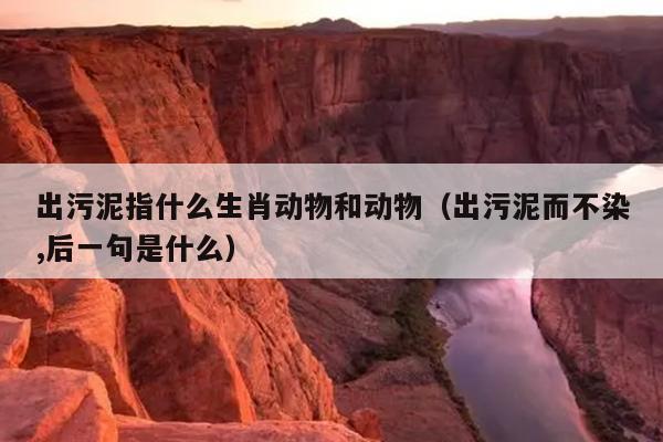 出污泥指什么生肖动物和动物（出污泥而不染,后一句是什么）