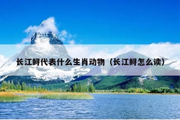 长江鲟代表什么生肖动物（长江鲟怎么读）