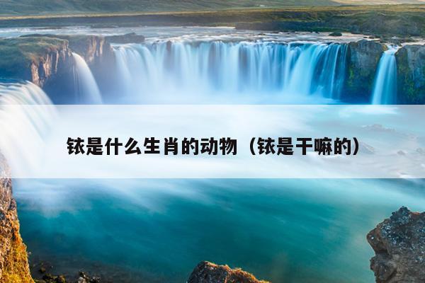 铱是什么生肖的动物（铱是干嘛的）