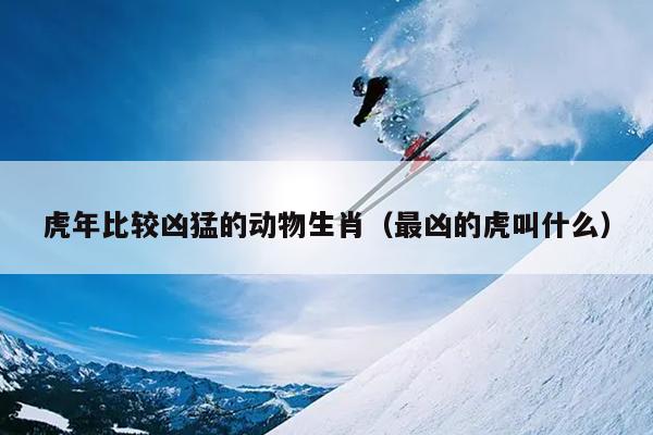 虎年比较凶猛的动物生肖（最凶的虎叫什么）