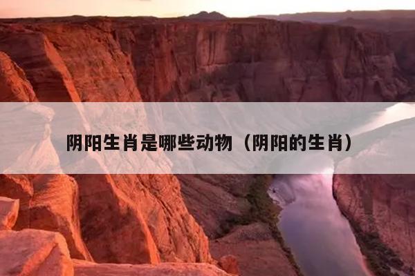 阴阳生肖是哪些动物（阴阳的生肖）