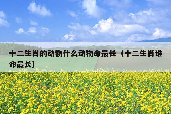 十二生肖的动物什么动物命最长（十二生肖谁命最长）