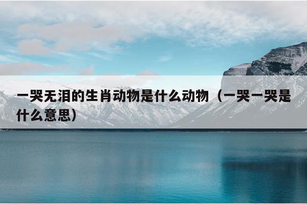 一哭无泪的生肖动物是什么动物（一哭一哭是什么意思）