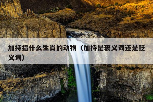 加持指什么生肖的动物（加持是褒义词还是贬义词）