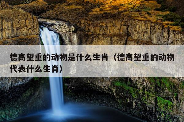 德高望重的动物是什么生肖（德高望重的动物代表什么生肖）