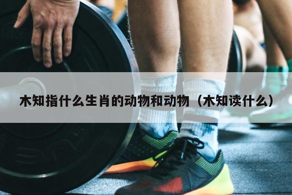 木知指什么生肖的动物和动物（木知读什么）