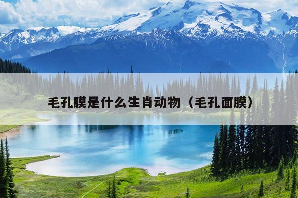 毛孔膜是什么生肖动物（毛孔面膜）