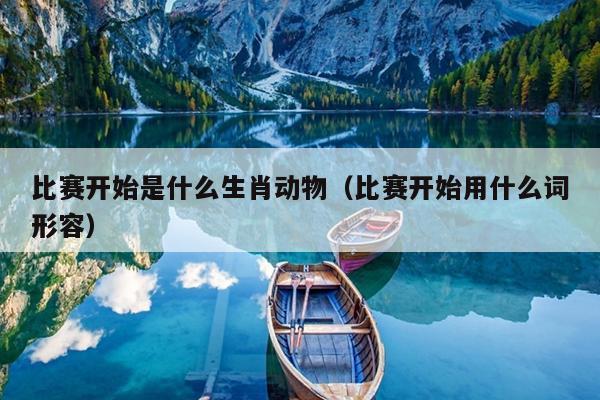 比赛开始是什么生肖动物（比赛开始用什么词形容）