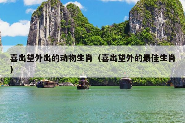 喜出望外出的动物生肖（喜出望外的最佳生肖）