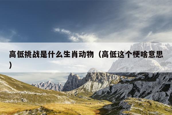 高低挑战是什么生肖动物（高低这个梗啥意思）