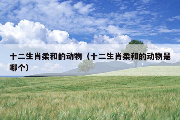 十二生肖柔和的动物（十二生肖柔和的动物是哪个）