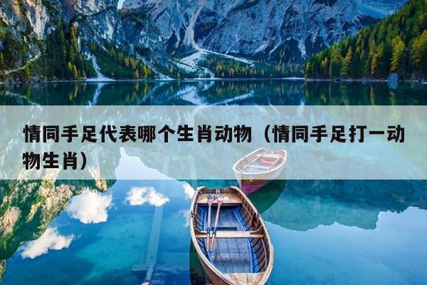 情同手足代表哪个生肖动物（情同手足打一动物生肖）