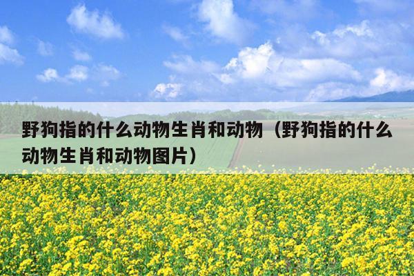 野狗指的什么动物生肖和动物（野狗指的什么动物生肖和动物图片）