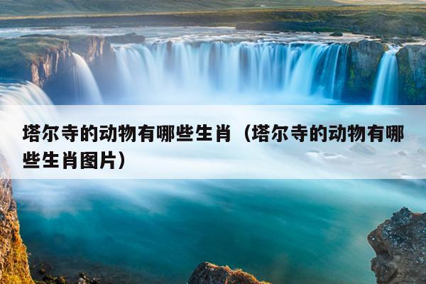 塔尔寺的动物有哪些生肖（塔尔寺的动物有哪些生肖图片）