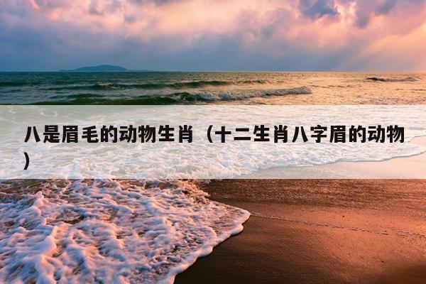 八是眉毛的动物生肖（十二生肖八字眉的动物）