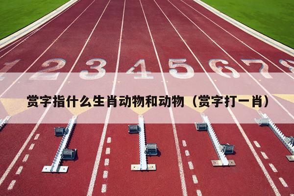 赏字指什么生肖动物和动物（赏字打一肖）