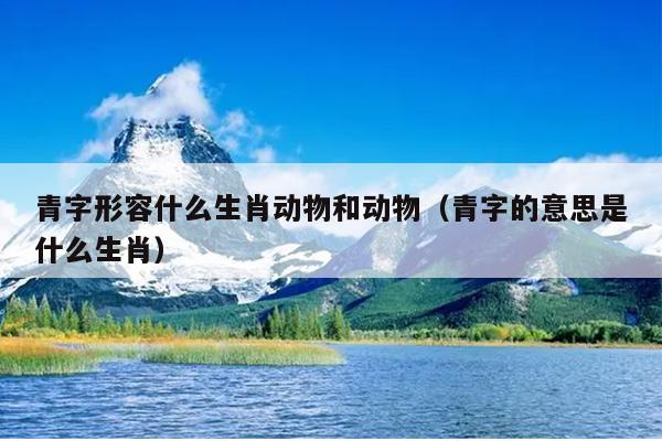 青字形容什么生肖动物和动物（青字的意思是什么生肖）