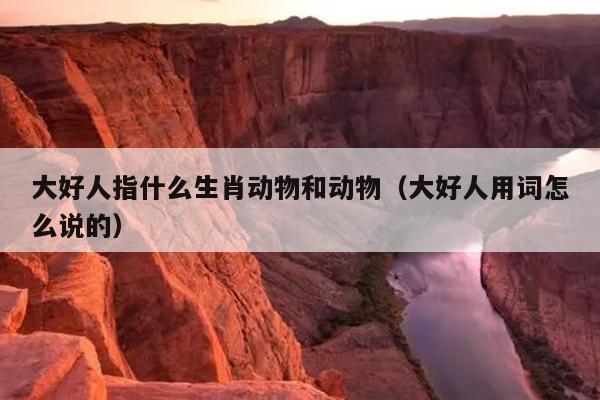 大好人指什么生肖动物和动物（大好人用词怎么说的）