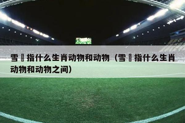 雪鸮指什么生肖动物和动物（雪鸮指什么生肖动物和动物之间）