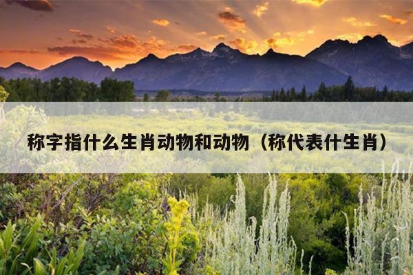称字指什么生肖动物和动物（称代表什生肖）