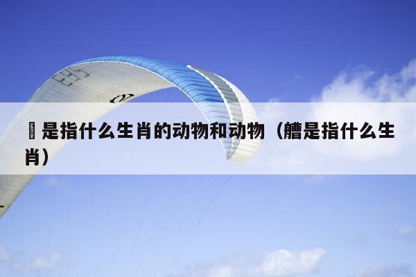 泦是指什么生肖的动物和动物（艚是指什么生肖）