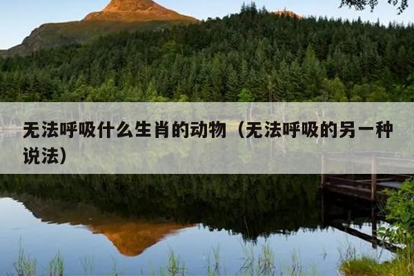 无法呼吸什么生肖的动物（无法呼吸的另一种说法）