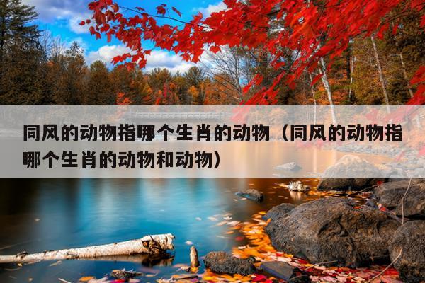 同风的动物指哪个生肖的动物（同风的动物指哪个生肖的动物和动物）