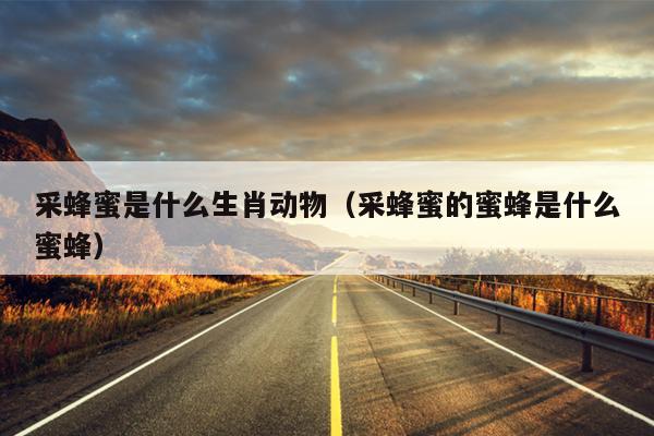 采蜂蜜是什么生肖动物（采蜂蜜的蜜蜂是什么蜜蜂）