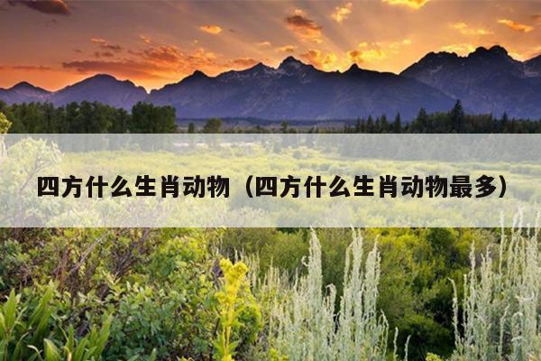 四方什么生肖动物（四方什么生肖动物最多）
