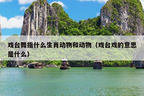 戏台舞指什么生肖动物和动物（戏台戏的意思是什么）