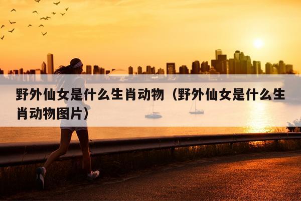 野外仙女是什么生肖动物（野外仙女是什么生肖动物图片）