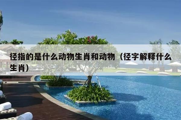 径指的是什么动物生肖和动物（径字解释什么生肖）