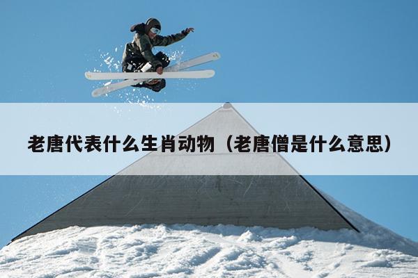 老唐代表什么生肖动物（老唐僧是什么意思）