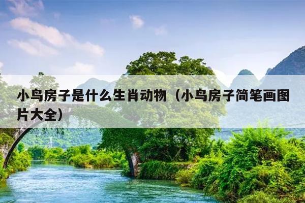 小鸟房子是什么生肖动物（小鸟房子简笔画图片大全）
