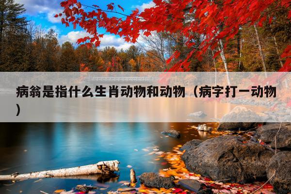病翁是指什么生肖动物和动物（病字打一动物）