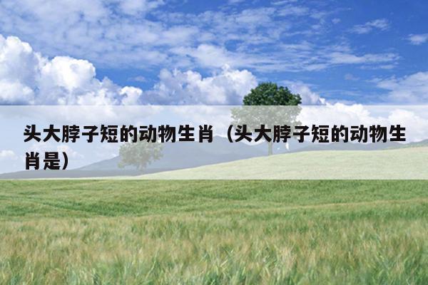 头大脖子短的动物生肖（头大脖子短的动物生肖是）