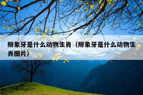 掰象牙是什么动物生肖（掰象牙是什么动物生肖图片）